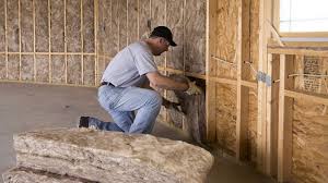 Best Insulation for New Construction  in Ventress, LA